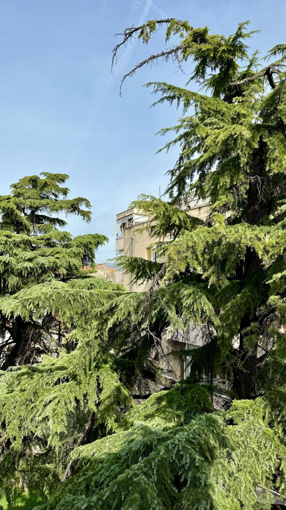 Jardin Rooms 스플리트 외부 사진
